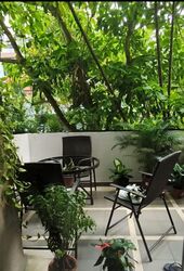 Balmoral Crest (D10), Apartment #562517561